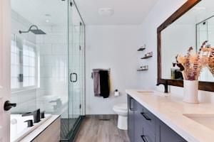 Bathroom Cleaning