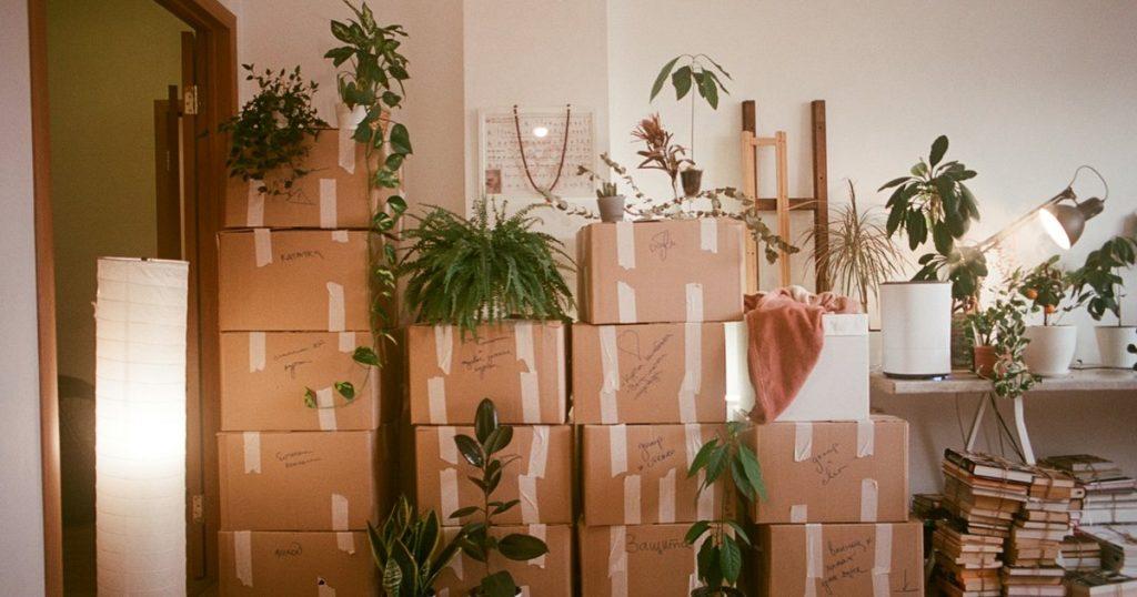 Packers and movers packing boxes in a Pune home move